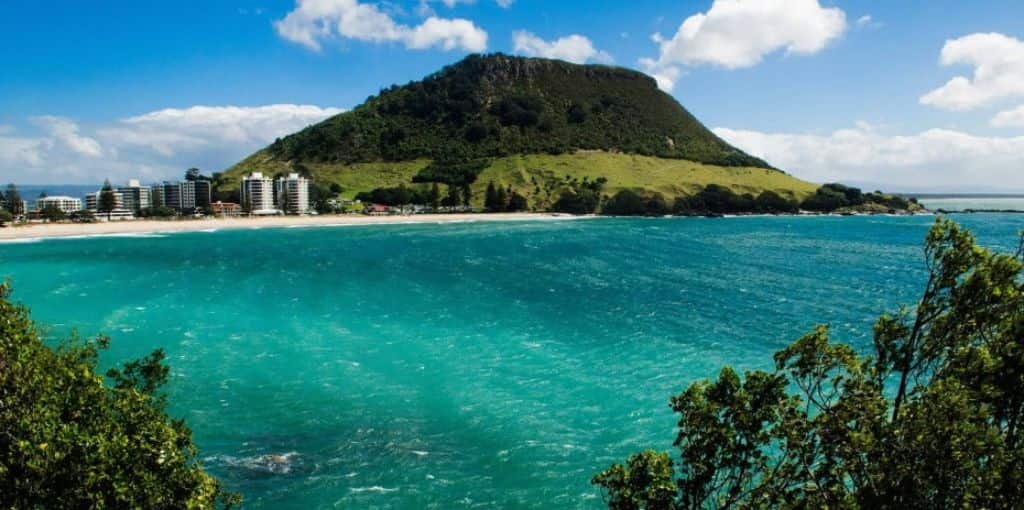 Air New Zealand Tauranga Airport Office