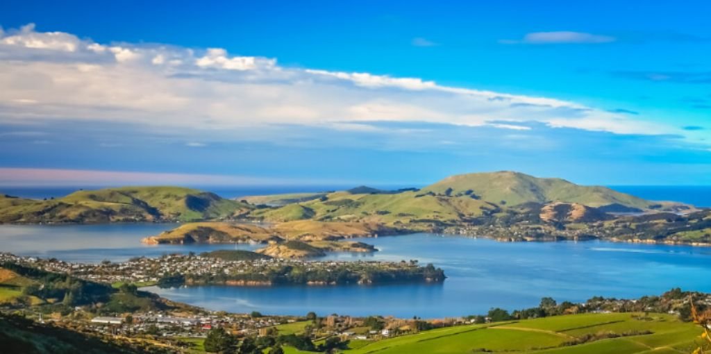 Dunedin