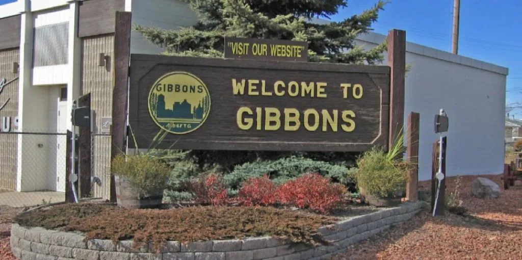 Gibbons