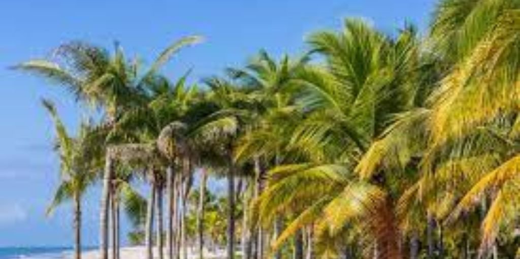 Rio Hato