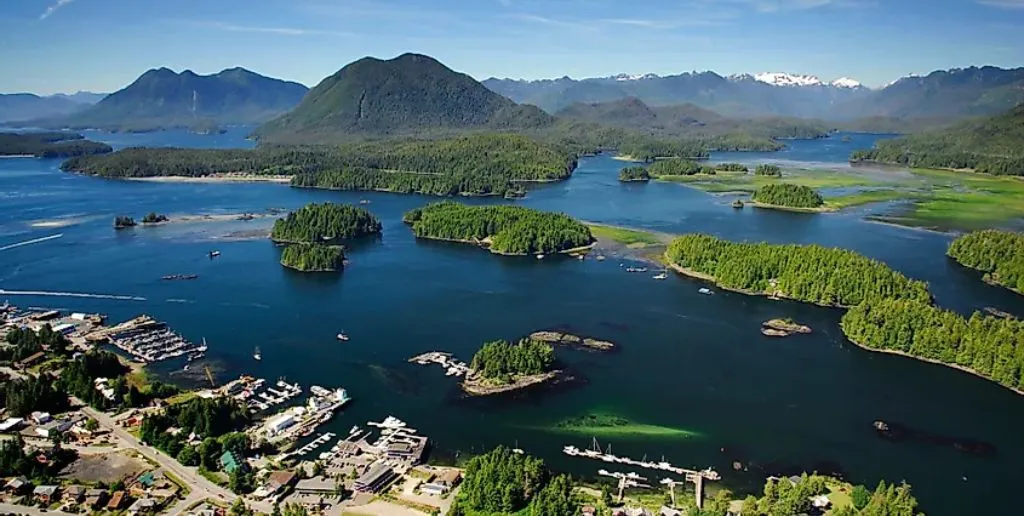Tofino
