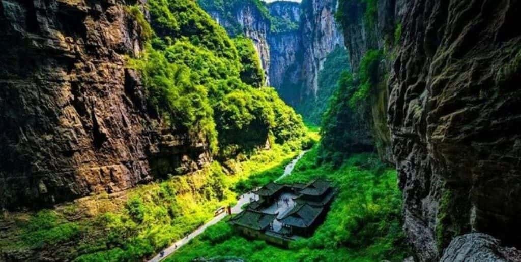 Wulong