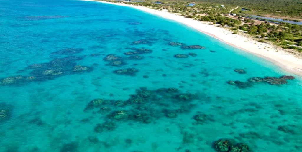 Barbuda