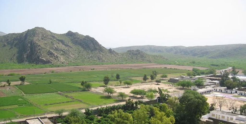 Kohat