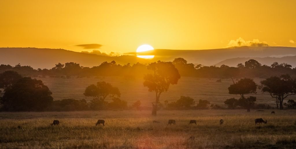 Maasai Mara